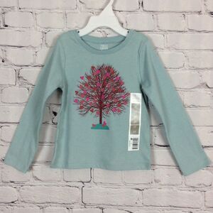 Falls Creek Kids Girls Size 3t Tree Of Hearts Mint Green Long Sleeve Top Sparkle